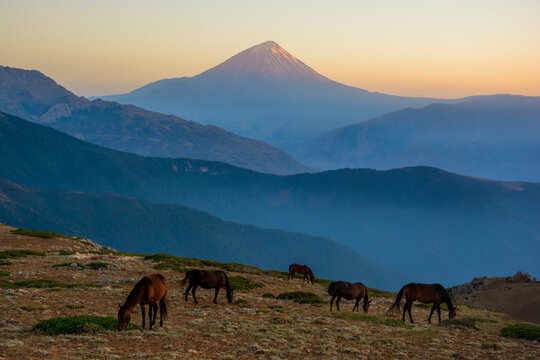 Mount Damavand, a potentially active volcano, is a stratovolcano which is the highest peak in Iran and the highest volcano in Asia.