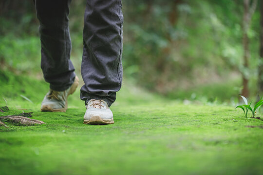Hikers boots walking on moss in forest trail. Travel, Sports,Lifestyle Concept.
