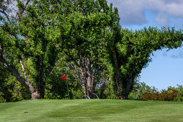Sunny golf, fairway up to a green with a red flag, leafy trees and sky in the background
