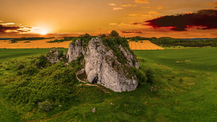Jura Krakowsko Częstochowska - Skała Rzędowa w Bzowie © Janusz Lipiński