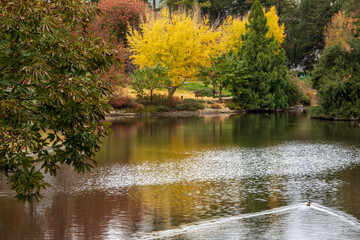 Fall colors at UC Davis Arboretum and Lake Spafford reflections, California, USA, a hidden gem