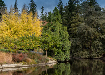 Fototapeta na wymiar Fall colors at UC Davis Arboretum, California, USA