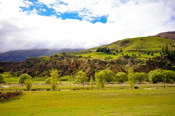 Obraz premium The fields of Cardrona, Otago