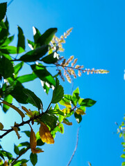Dynamic sky from different low angle background copy space cover environment concept