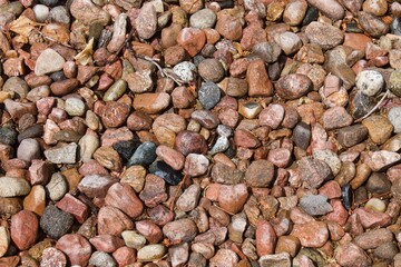 After rain stone is wet on the ground