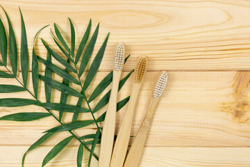 Bamboo toothbrushes and bamboo leaves on wooden background. Sustainable lifestyle, zero waste