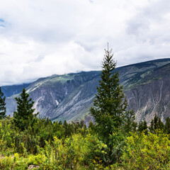 Mountain landscape. Ulagansky district, Altai Republic, Russia