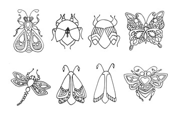 A set of black and white hand-drawn insect drawings on a white background
