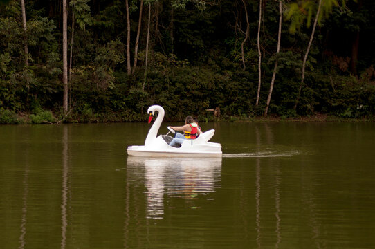 Pedalinho