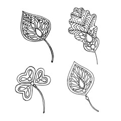 A set of black and white hand-drawn drawings of leaves on a white background