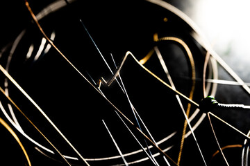 Abstract Closeup of End on Used Bronze Acoustic Guitar String in Front of Other Loose Strings