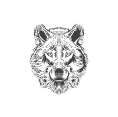 Naklejka premium wolf face logo, hand drawn vector 