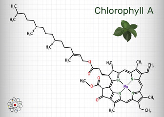 Chlorophyll A, chlorophyll molecule. It is photosynthetic pigment used in oxygenic photosynthesis. Skeletal chemical formula. Sheet of paper in a cage - obrazy, fototapety, plakaty
