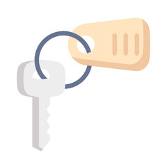 room key flat icon