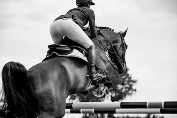 Horse Jumping, Equestrian Sports, Show Jumping themed photo.