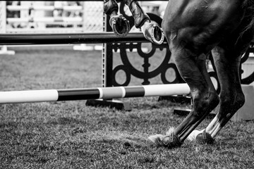 Horse Jumping, Equestrian Sports, Show Jumping themed photo.
