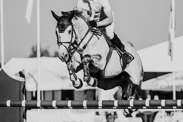 Horse Jumping, Equestrian Sports, Show Jumping themed photo.