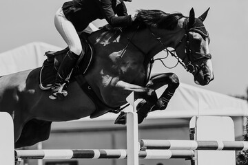 Horse Jumping, Equestrian Sports, Show Jumping themed photo.