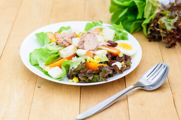Mixed fresh vegetables salad in white dish on wood plate