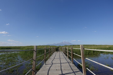 The Road Towards the Mountain Through Swamp and Reeds 