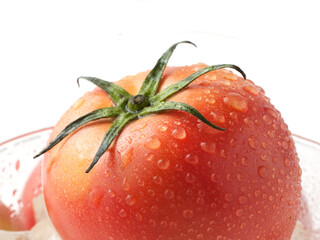 トマト　白バック