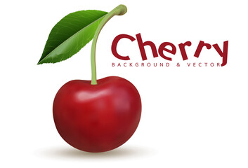 Vector illustration. Cherries photo realistic 3d icon isolated on white background.
