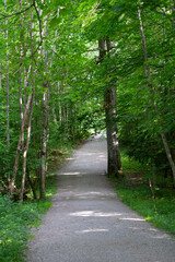 Scenic gravel pathway at panorama hiking trail at local mountain Uetliberg. Photo taken June 18th, 2021, Zurich, Switzerland.