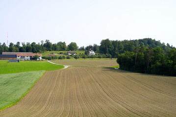 Agriculture field with farm in the background on a sunny summer morning at local mountain Uetliberg canton Zurich. Photo taken June 18th, 2021, Zurich, Switzerland.