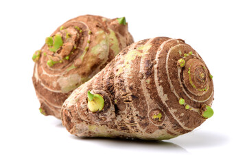 Taro on a white background