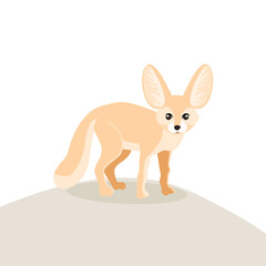 Desert fox fennec, cute and careful, vector illustration