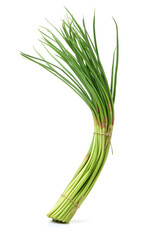 garlic bolt on the white background