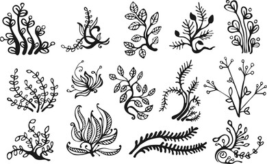 Collection of leaves. Vector set. Sketches