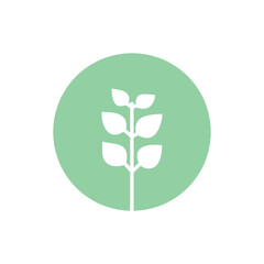 Seedling icon. Green growing tree on white