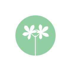 Seedling icon. Green growing tree on white