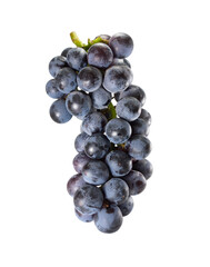 Bunch of black grapes isolated on white background.