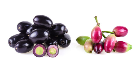 Jambolan plum or Java plum isolated on white background