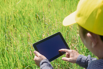 Smart farmer uses a tablet to monitor and analyze the crops in his farm during a sunny day.