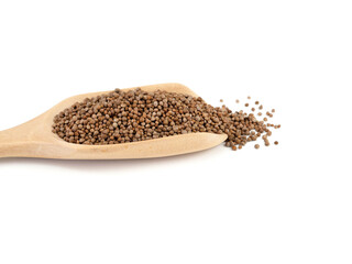 Close up, Perilla seed in wooden spoon isolated on a white background.  Healthy food. .