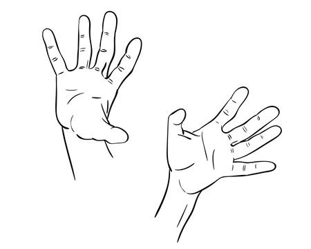 hand vector sketch isolated drawing