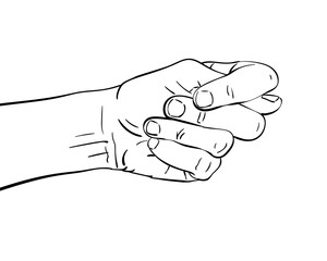 hand vector sketch isolated drawing - obrazy, fototapety, plakaty