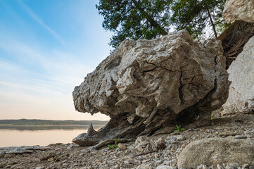 A stone on the river bank in the form of the head of a prehistoric lizard, a dinosaur with an open...