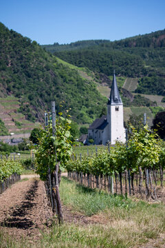 EllenzPoltersdorfBilder StockFotos & Videos. Adobe Stock