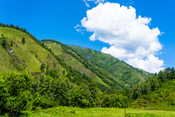 green mountain or hills at summer time, bright blue sky with fluffy clouds