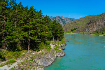Naklejka na ściany i meble turquoise mountain river among mountains, bright cloudy sky, summer ecological rest place