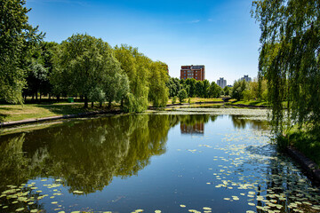 Fototapeta premium central park city