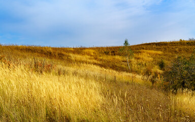 Bright colors of autumn nature on the hills.