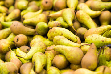 Pile of fresh organic green pears at local farmers market
