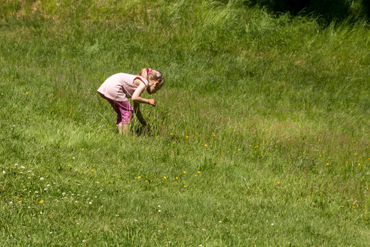 Girl picking flowers on a meadow, green grass, girl in pink cloth