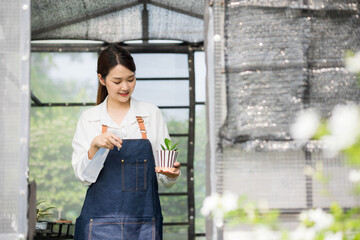 Beautiful Asian woman Gardener working in houseplant using foggy spray Water the plants. Owner start up small business  greenhouse. Cute Female holding small tree in pot and smiling in houseplant.