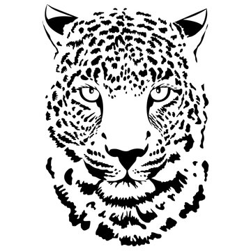 Black and white leopard head. Hand-drawn vector illustration.